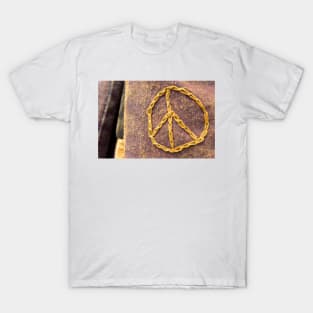 Artsy Fartsy - 10 - Fragile Peace In Threads © T-Shirt